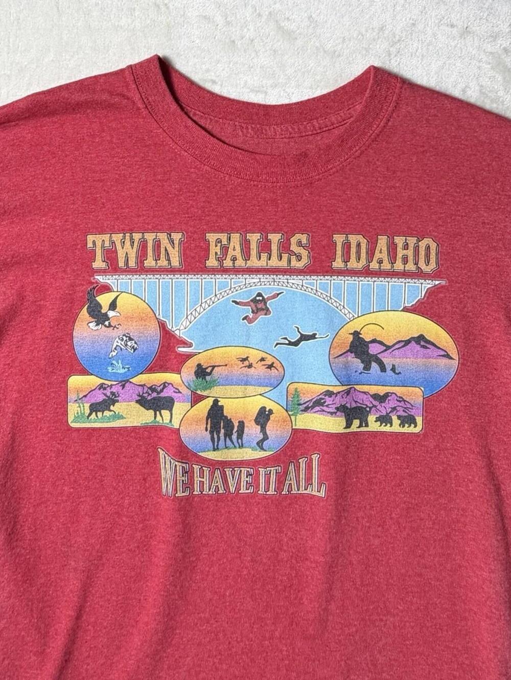 Vintage Style Twin Falls Idaho T-Shirt Red Heather Souvenir Mens Large Perrine